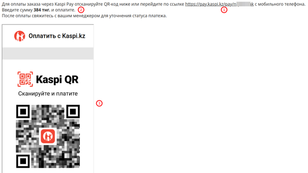 Kaspi Pay 2.png